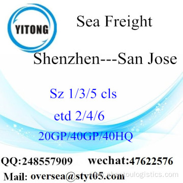 Shenzhen Port Sea Freight Shipping To San Jose